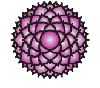 sahasra chakra symbol: the thousand petalled lotus